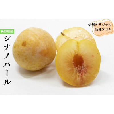 【ふるさと納税】長野県のオリジナル品種　至高のプラム　シナノパール　4個【配送不可地域：離島】【1676949】