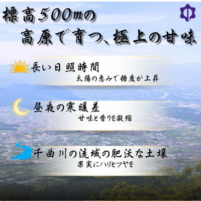 【ふるさと納税】【2026年先行予約開始!】贈答用 厳選シャインマスカット 1房(700g以上)【配送不可地域：離島】【1682433】