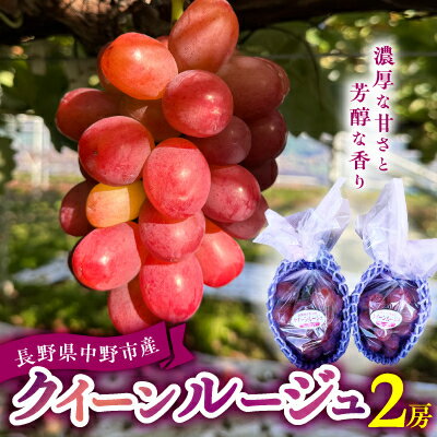 2026年発送 クイーンルージュ 2房[配送不可地域:離島]