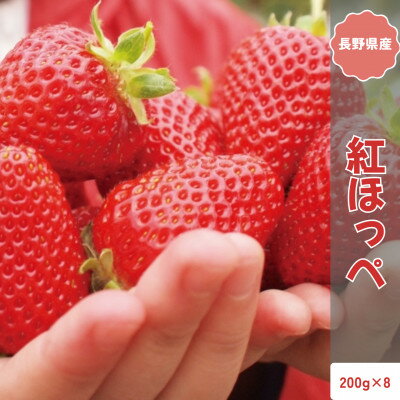 【ふるさと納税】【2026年発送予定】長野県産 いちご 紅ほっぺ 8パック【約1.6kg】【配送不可地域：離...