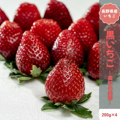 [2026年発送予定]長野県中野市産 希少黒いちご 真紅の美鈴 4パック[約800g][配送不可地域:離島]