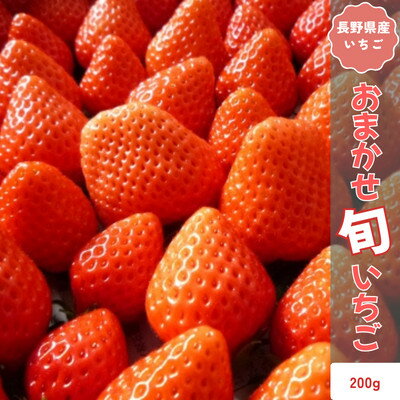 [2026年発送予定]長野県産 いちご おまかせ 1パック[約200g][配送不可地域:離島]