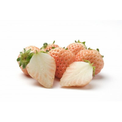 【ふるさと納税】【2026年発送】長野県産　紅白いちごのたべくらべセット　各3パック【1.2kg】【配送不可地域：離島】【1705549】