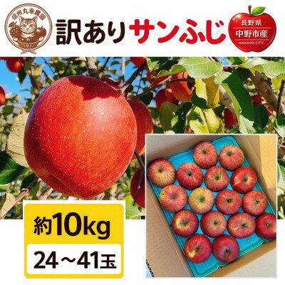 Apple - 【ふるさと納税】生産農家直送　長野県中野市産　サンふじ　訳ありご家庭用　約10kg(24～41玉)【1716053】