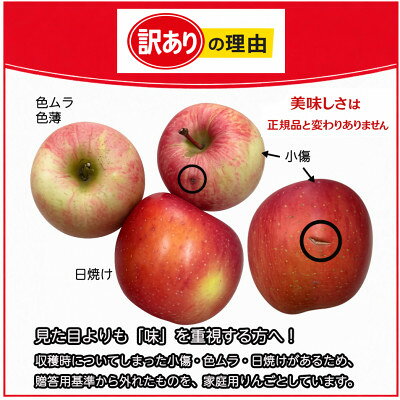 【ふるさと納税】生産農家直送　長野県中野市産　サンふじ　訳ありご家庭用　約10kg(24～41玉)【1716053】