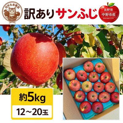 Apple - 【ふるさと納税】生産農家直送　長野県中野市産　サンふじ　訳ありご家庭用　約5kg(12～20玉)【1716055】