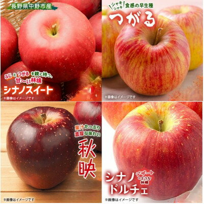 季節のおすすめリンゴ 1ケース約4.8kg