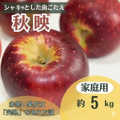 【ふるさと納税】りんご 秋映 約5kg 家庭用【1738020】