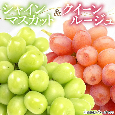 シャインマスカット&クイーンルージュ1.1kg【配送不可地域：離島】【1753578】