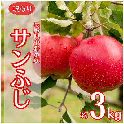 [訳あり]産地直送 信州りんご(サンふじ)3kg (ご家庭用)