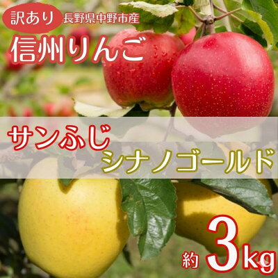 【ふるさと納税】【訳あり】産地直送　信州りんご(サンふじ+シナノゴールド)3kg (ご家庭用)【1763205】