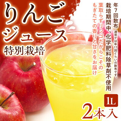 【ふるさと納税】【葉とらずりんごのやさしい甘さ】りんごジュース(1L) 2本入り 1セット【1779746】