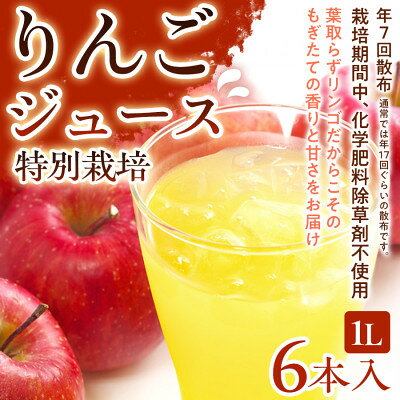 【ふるさと納税】【葉とらずりんごのやさしい甘さ】りんごジュース 6本入り 1セット【1779754】