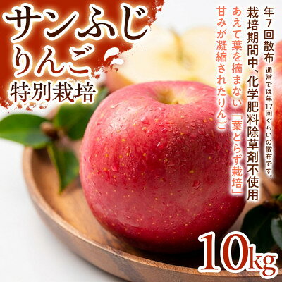 【ふるさと納税】【濃厚な甘みとしっかり食感】サンふじ 10kg 1セット【1779786】