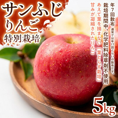 【ふるさと納税】【濃厚な甘みとしっかり食感】サンふじ 5kg 1セット【1779795】