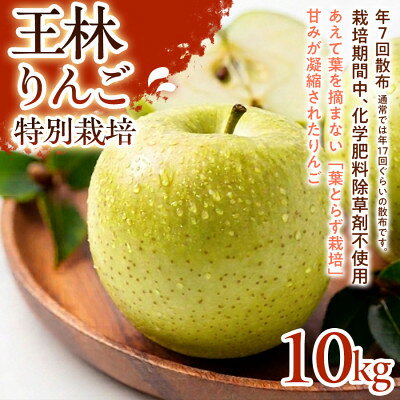 【ふるさと納税】【芳醇な香りとやさしい甘み】王林(おうりん) 10kg 1セット【1779832】