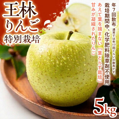 【ふるさと納税】【芳醇な香りとやさしい甘み】王林(おうりん) 5kg 1セット【1779837】