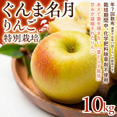 【ふるさと納税】【甘みの強い黄色りんご】ぐんま名月 10kg 1セット【1779853】