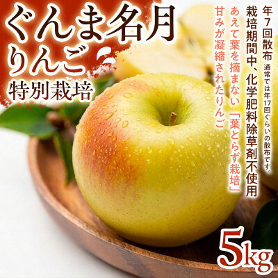 【ふるさと納税】【甘みの強い黄色りんご】ぐんま名月 5kg 1セット【1779910】