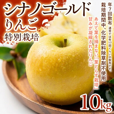 【ふるさと納税】【シャキシャキ食感と爽やかな甘み】シナノゴールド 10kg 1セット【1779914】