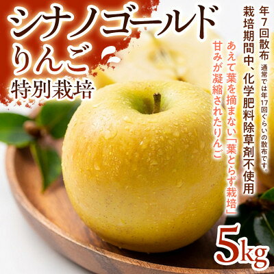 【ふるさと納税】【シャキシャキ食感と爽やかな甘み】シナノゴールド 5kg 1セット【1779924】