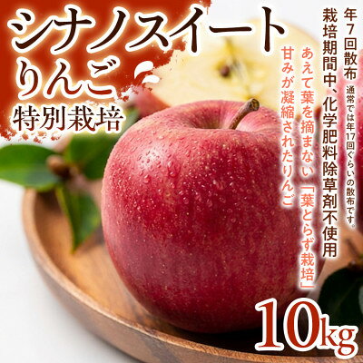 【ふるさと納税】【甘みしっかり】シナノスイート 10kg 1セット【1779925】