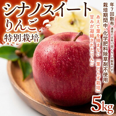 【ふるさと納税】【甘みしっかり】シナノスイート 5kg 1セット【1779934】