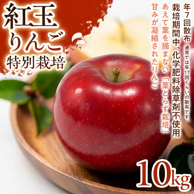 【ふるさと納税】【しっかりした酸味】紅玉(こうぎょく) 10kg 1セット【1780225】