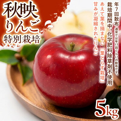【ふるさと納税】【濃厚な甘みと酸味】秋映(あきばえ) 5kg 1セット【1780231】
