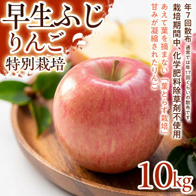 【ふるさと納税】【みずみずしい甘さと軽やかな食感】早生ふじ 10kg 1セット【1780233】