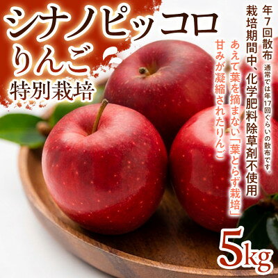 【ふるさと納税】【食べきりやすい小玉サイズ】シナノピッコロ 5kg 1セット【1780236】