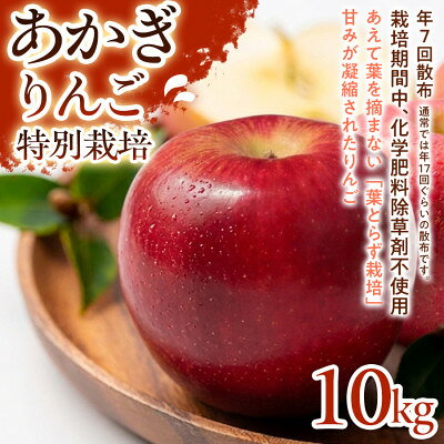 【ふるさと納税】【しっかりとした甘み】あかぎ 10kg 1セット【1780240】