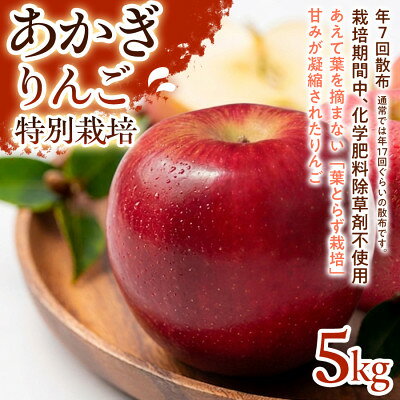 【ふるさと納税】【しっかりとした甘み】あかぎ 5kg 1セット【1780241】
