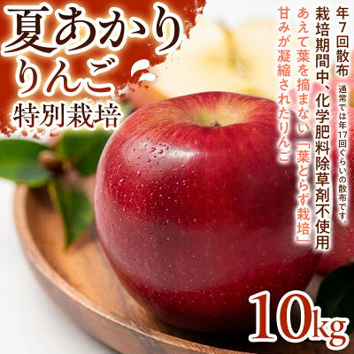 【ふるさと納税】【さっぱりとした甘さと爽やかな味わい】夏あかり 10kg 1セット【1780244】