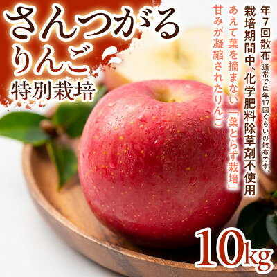 【ふるさと納税】【ジューシーな甘さ】サンつがる 10kg 1セット【1780246】