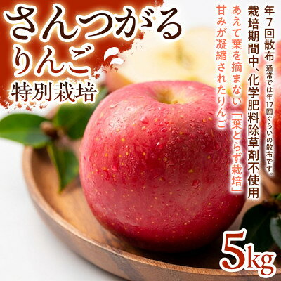 【ふるさと納税】【ジューシーな甘さ】サンつがる 5kg 1セット【1780247】