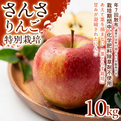 【ふるさと納税】【ほどよい酸味と甘み】さんさ 10kg 1セット【1780248】