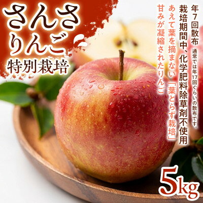 【ふるさと納税】【ほどよい酸味と甘み】さんさ 5kg 1セット【1780250】