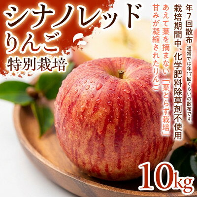 【ふるさと納税】【軽やかな甘さと食べやすさ】シナノレッド 10kg 1セット【1780252】