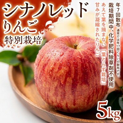 【ふるさと納税】【軽やかな甘さと食べやすさ】シナノレッド 5kg 1セット【1780255】