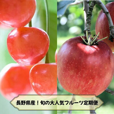 [発送月固定定期便]2026年発送予定 長野の果物 さくらんぼ+サンふじ全2回[配送不可地域:離島]