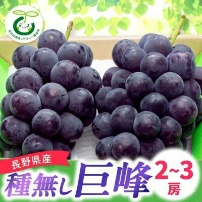 [発送月固定定期便]巨峰・シャインマスカット・美味しいサンふじ林檎全3回[配送不可地域:離島]