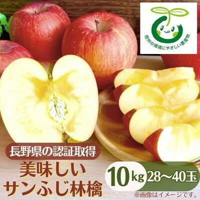 【ふるさと納税】【発送月固定定期便】2026年発送[長野県産]信州種無し巨峰 2～3房+サンふじ林檎 10kg全2回【配送不可地域：離島】【4083014】