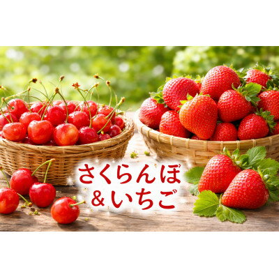 [発送月固定定期便]長野の果物 いちご+さくらんぼ 全2回[配送不可地域:離島]
