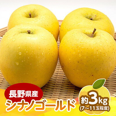 【ふるさと納税】【発送月固定定期便】信州人気のフルーツ(シナノゴールド・いちご)セット全2回【配送不可地域：離島】【4085523】 f202118-nakano-10001366 長野県中野市 サンプル画像3