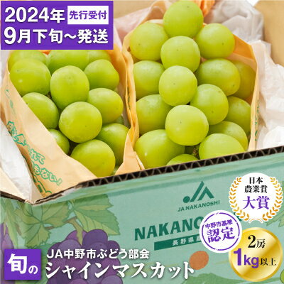 ＼中野市大人気シャインマスカット/_[先行予約]JA中野市から直送 シャインマスカット1kg以上 2024年9月下旬〜11月上旬発送 _ シャインマスカット 日本農業賞大賞 受賞 マスカット ふるさと 長野県 フルーツ ぶどう [配送不可地域:離島]