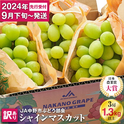 ＼ランキング1位／【 訳あり 】 2024年9月下旬～随時発送 シャインマスカット 【先行受付】■2024年発送_訳ありシャインマスカット3房1.3kg以上 ご自分へのご褒美シャインマスカット JA中野市から産直_ 【配送不可地域：離島・北海道・沖縄県】【1422800】