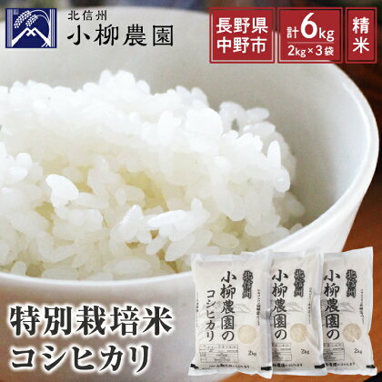 小柳農園 特別栽培米 コシヒカリ 6kg ( 2kg × 3 ) こしひかり 米 こめ お米 おこめ 送料無料 【1204249】