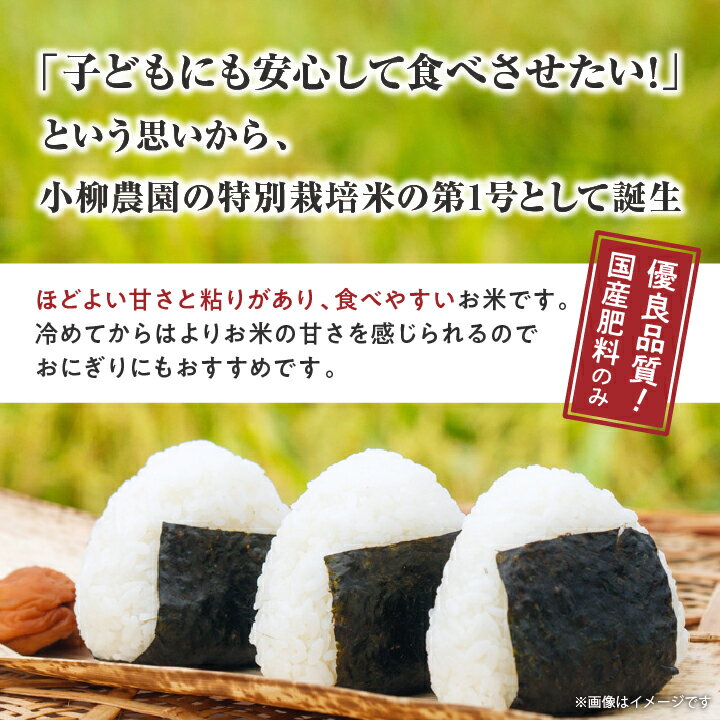 【ふるさと納税】小柳農園の特別栽培米コシヒカリ15kg(5kg×3)_ コメ 米 こめ おこめ お米 こしひかり 特別栽培米 人気 おすすめ 送料無料 産地直送 【1204307】