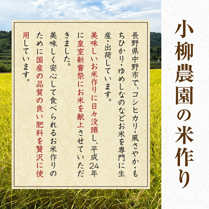 長野県中野市の画像3